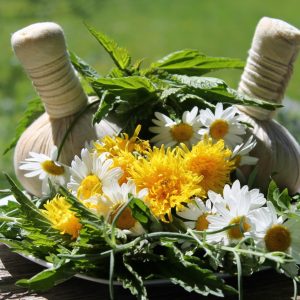 PHYTOTHERAPIE, hunde massage